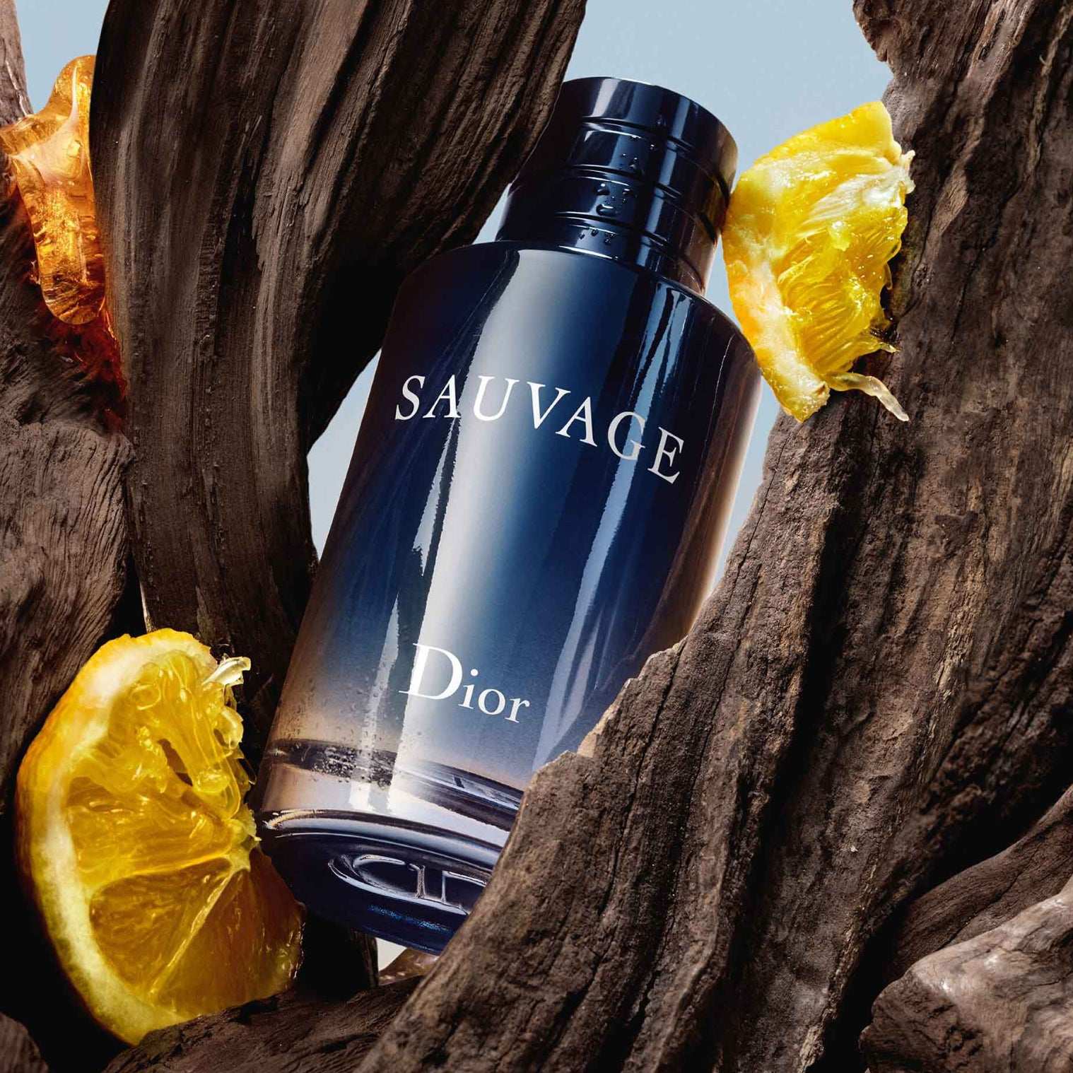 FRAGRANCES