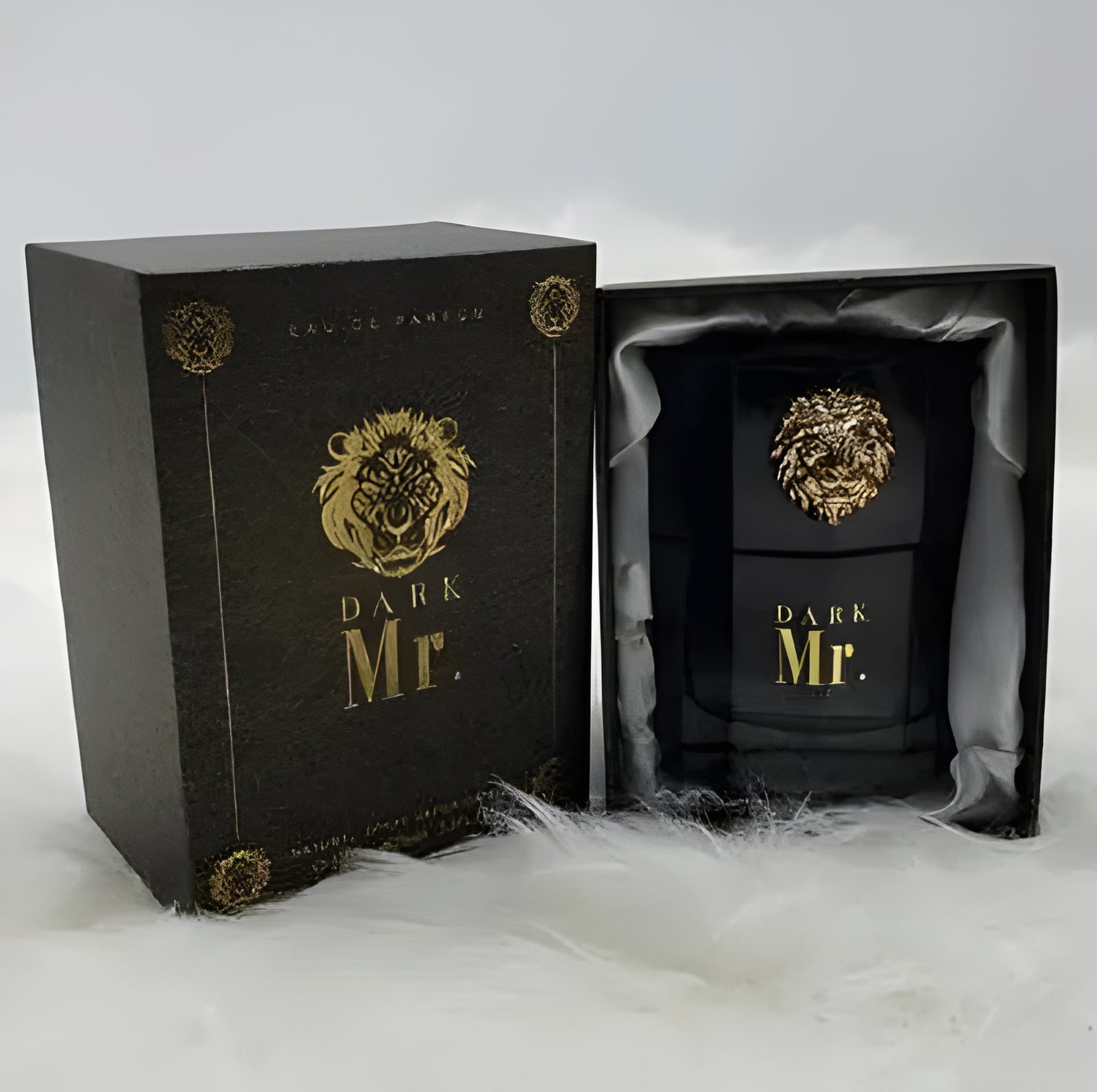 Sellion Dark Mr Eau De Parfum 100ml For Men
